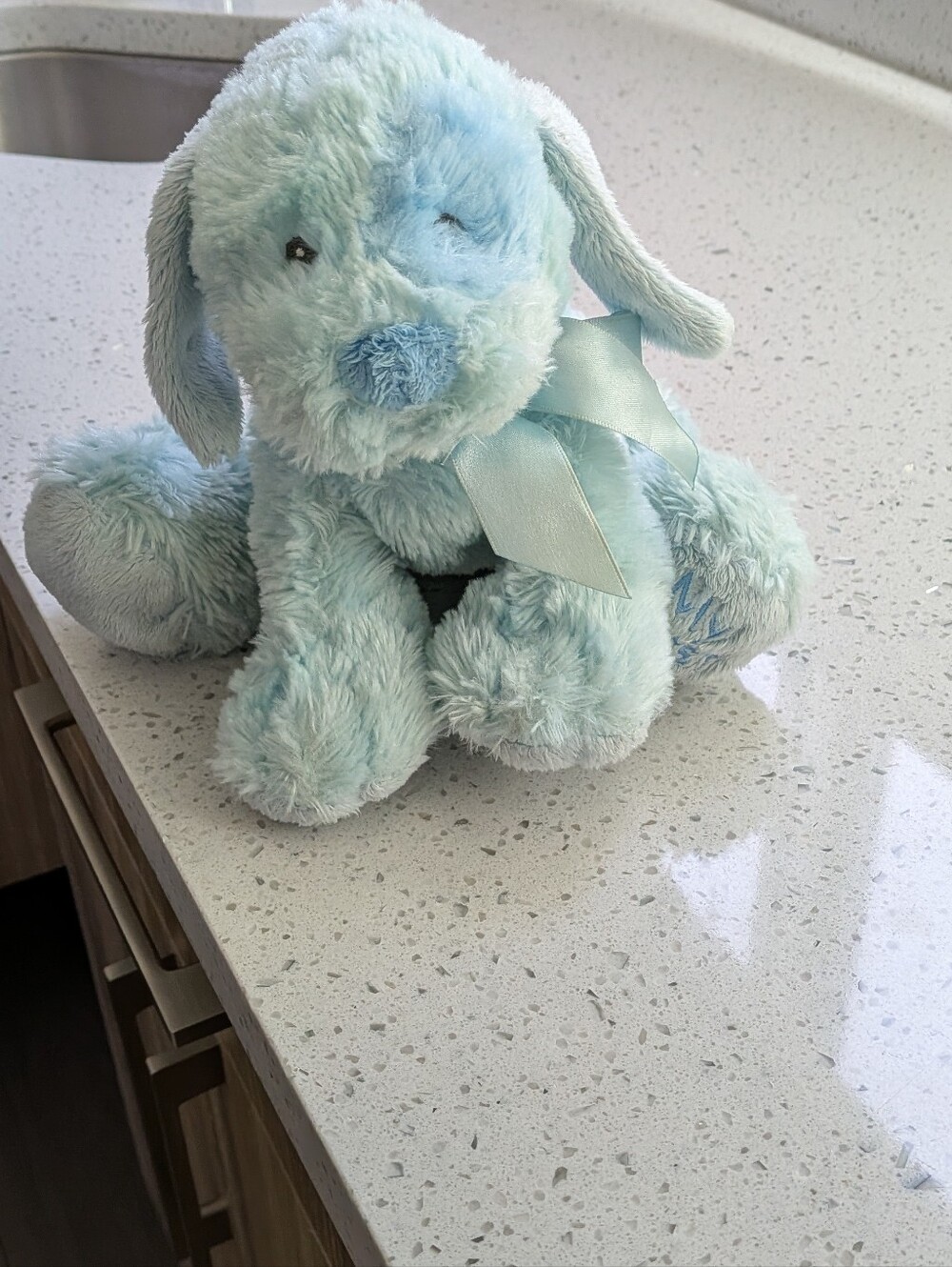 Baby Ganz  Blue My First Puppy Dog Plush Stuffed Animal Boy Toy 9” Lovey.